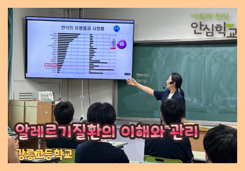 갤러리